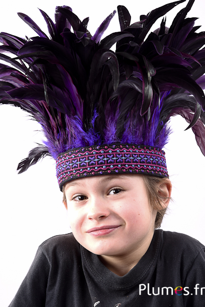 Parure de tête pour enfant - 50 plumes - noir-violet